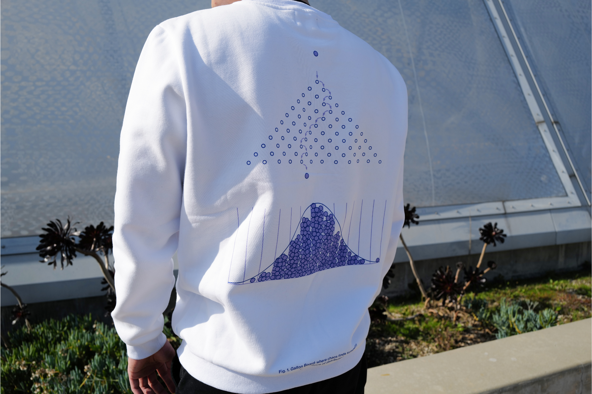 Normal Distribution and the Galton Board Sweatshirt | Geek Gift | Nerd Gift | Math Clothing | STEM Apparel